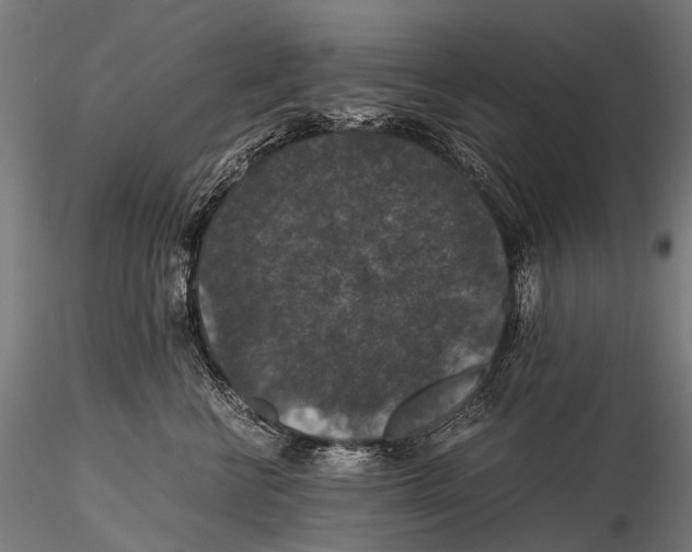 X0000116000570200912101320