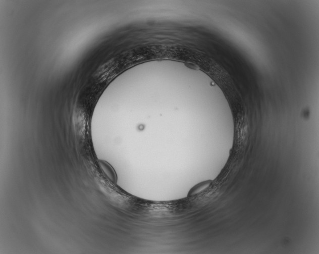 X0000116000574200912101320