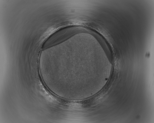 X0000116000577200912101319