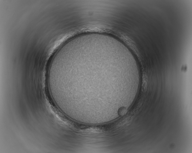 X0000116000578200912101319