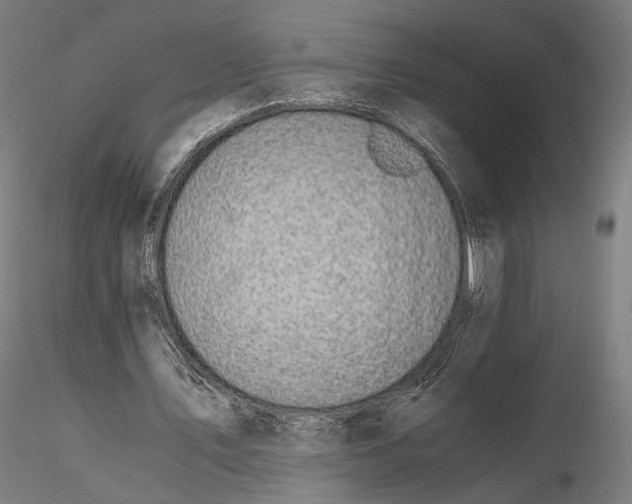 X0000116000579200912101319