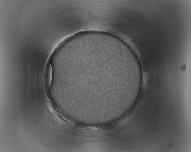 X0000116000580200912101319