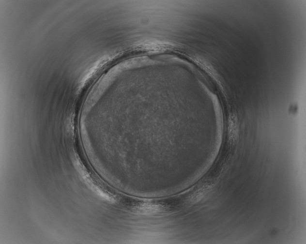 X0000116000581200912101319