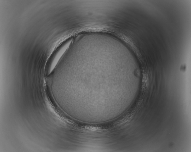 X0000116000582200912101319