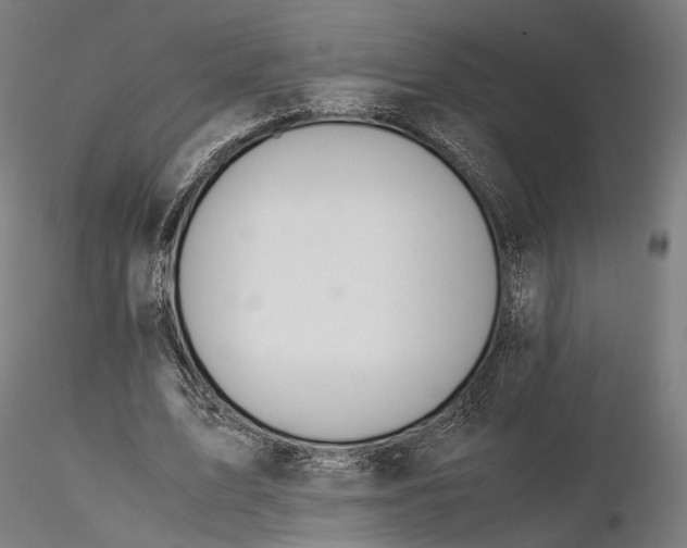 X0000116000583200912101319