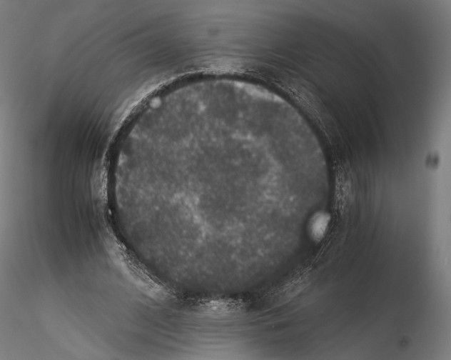 X0000116000584200912101319