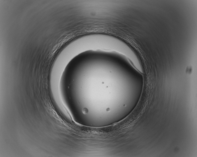 X0000116000585200912101319