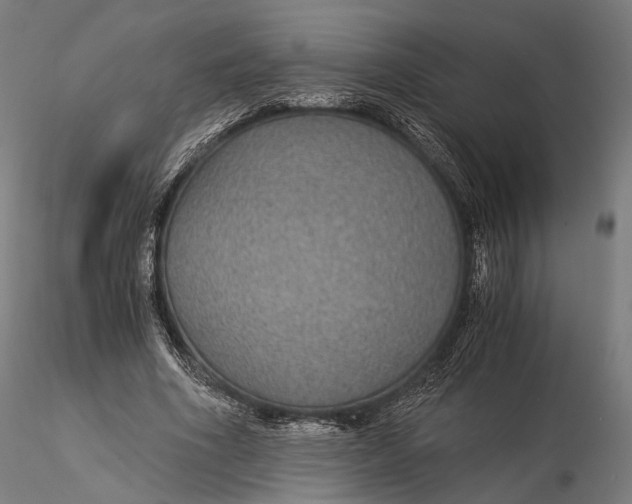 X0000116000586200912101319