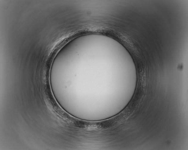 X0000116000587200912101319