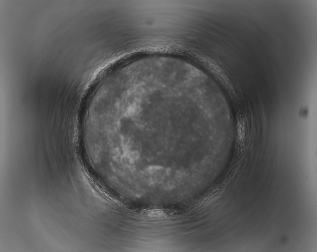 X0000116000588200912101319