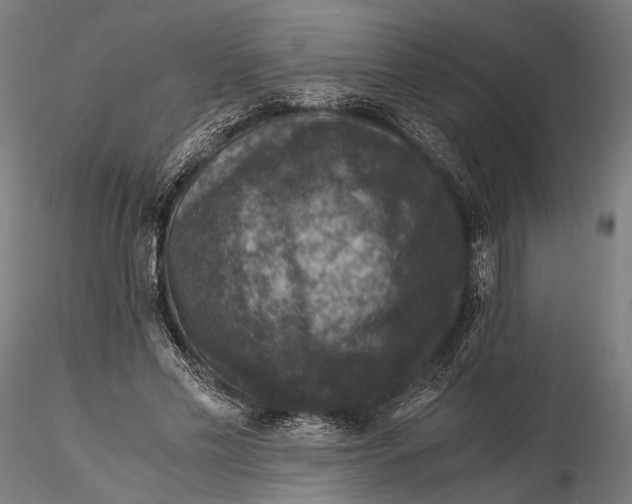 X0000116000589200912101319