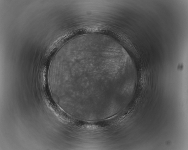 X0000116000590200912101319