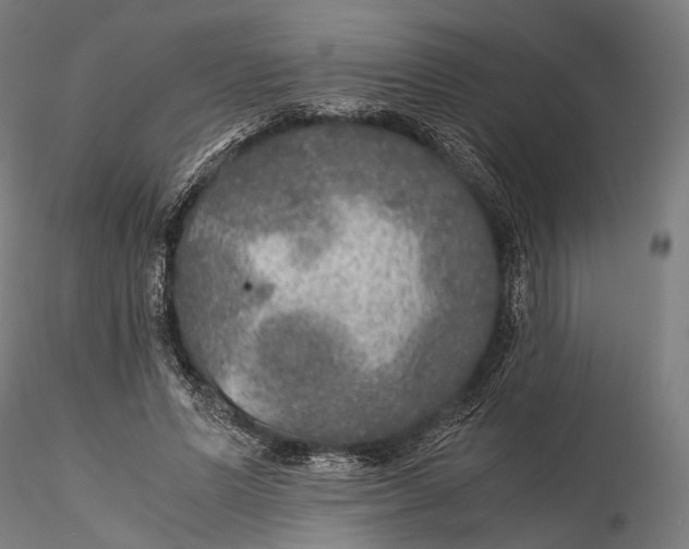 X0000116000591200912101319