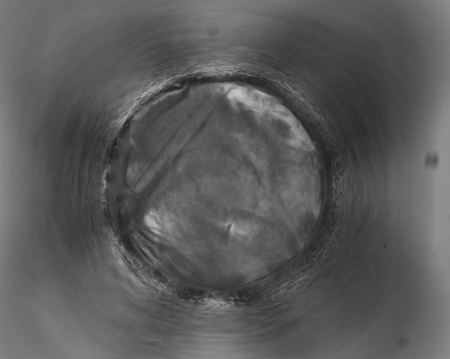 X0000116000592200912101319