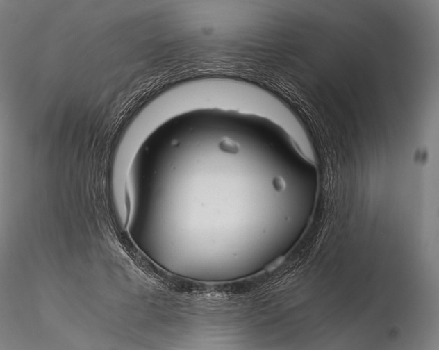 X0000116000593200912101319