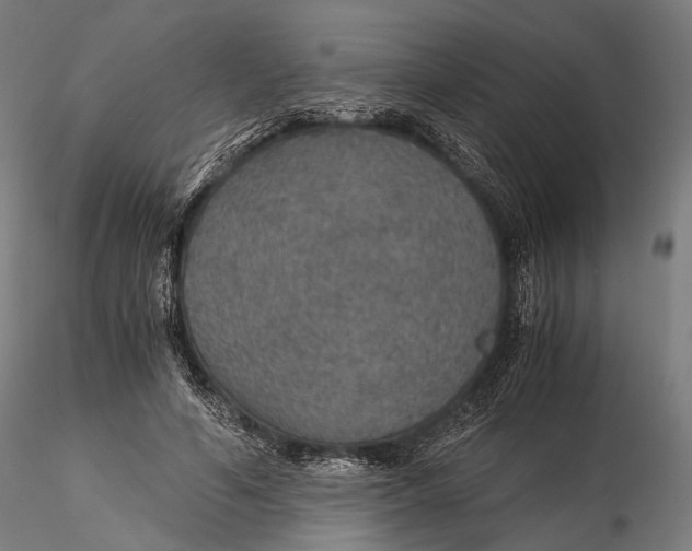 X0000116000594200912101319