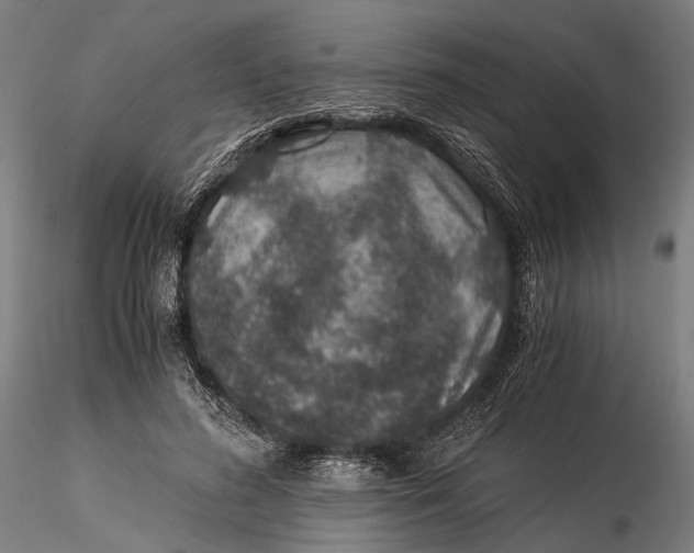 X0000116000596200912101319