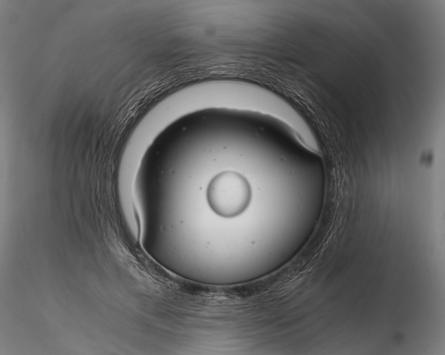 X0000116000597200912101319