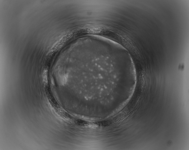 X0000116000598200912101319