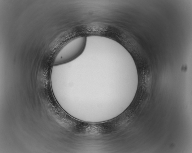 X0000116000599200912101319