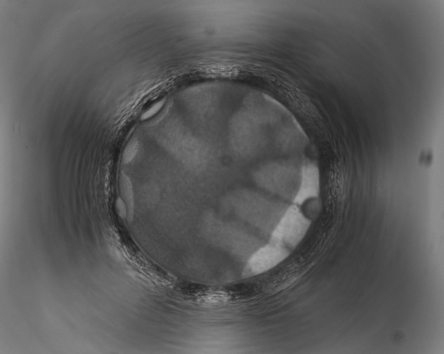 X0000116000600200912101319