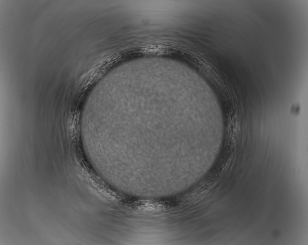 X0000116000601200912101319