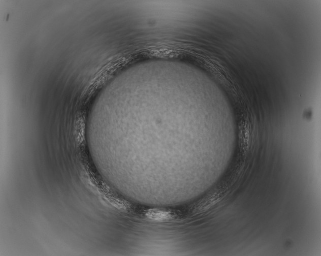 X0000116000602200912101319