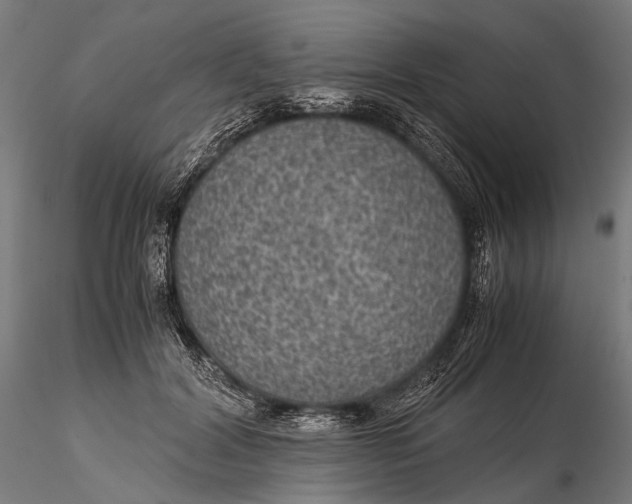 X0000116000604200912101319