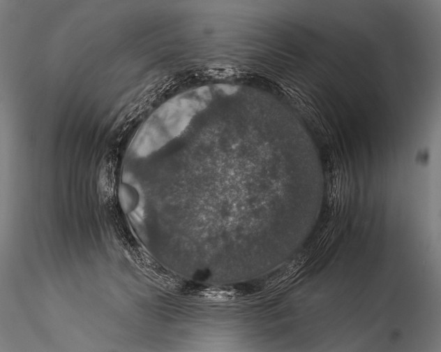 X0000116000606200912101319