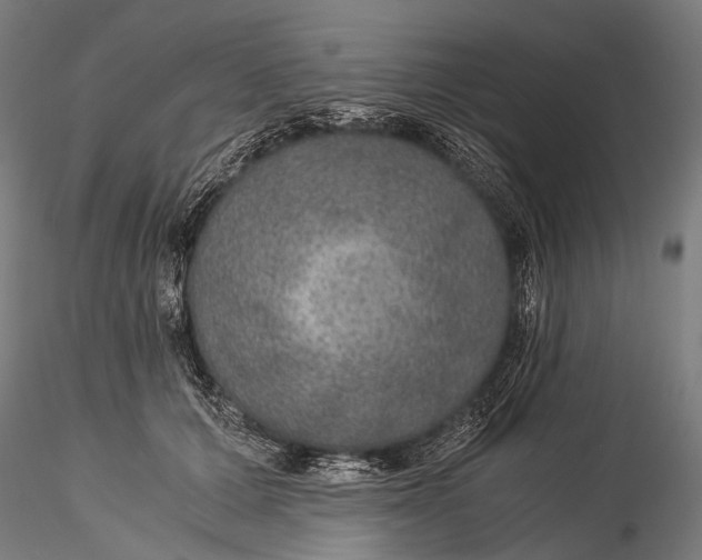 X0000116000607200912101319