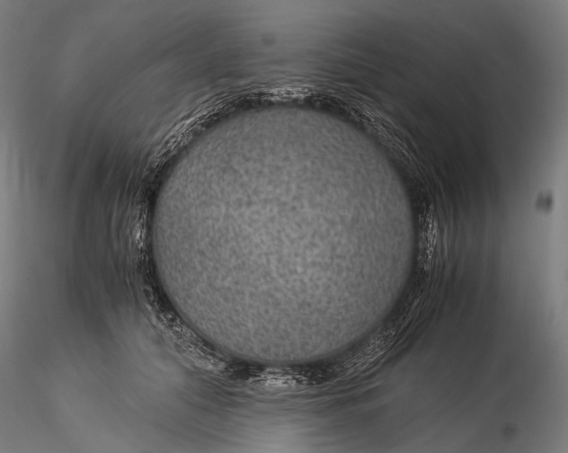 X0000116000608200912101319