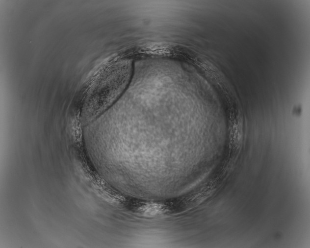 X0000116000609200912101319