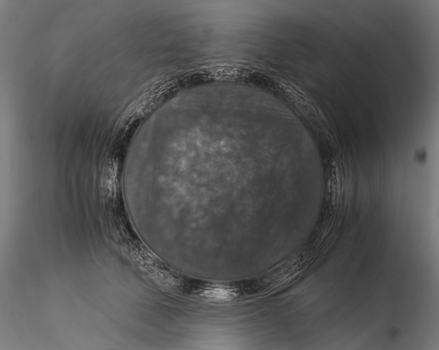 X0000116000610200912101319