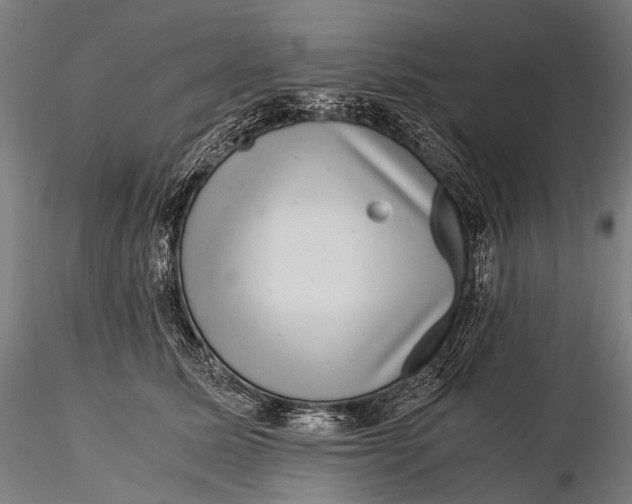 X0000116000611200912101319