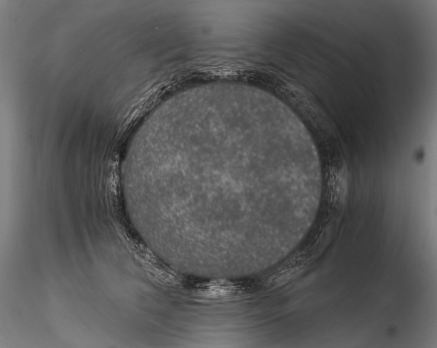 X0000116000612200912101319