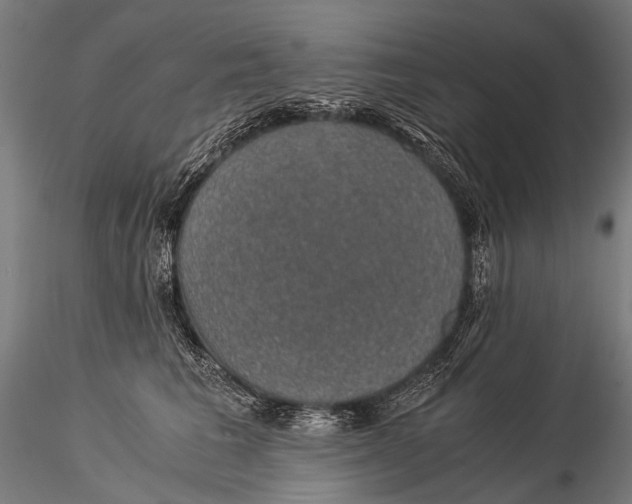 X0000116000613200912101319