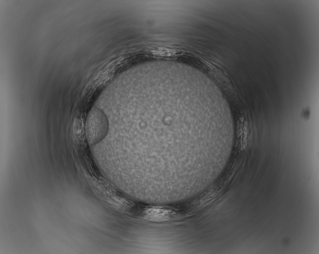 X0000116000614200912101319