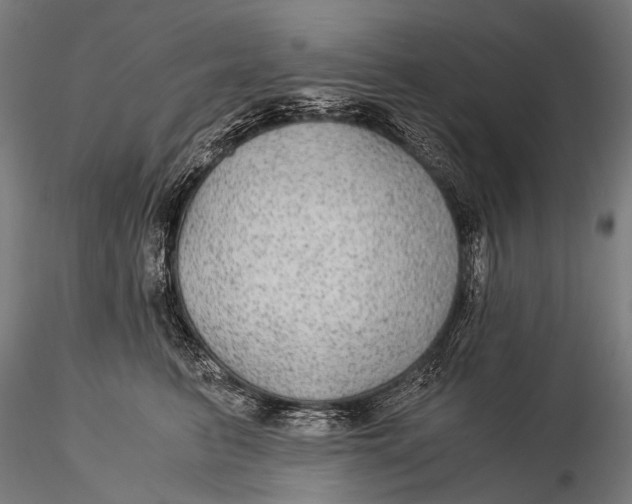 X0000116000615200912101319