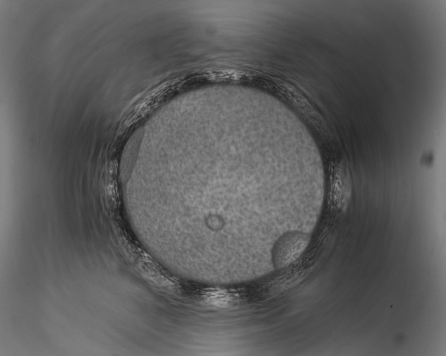 X0000116000616200912101319