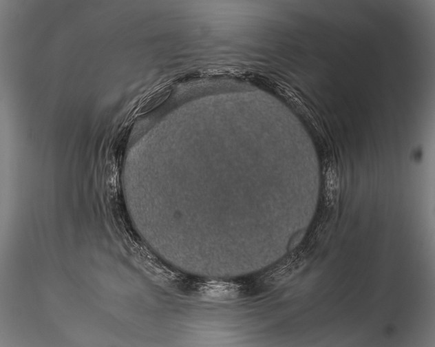 X0000116000617200912101319