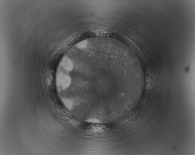 X0000116000618200912101319