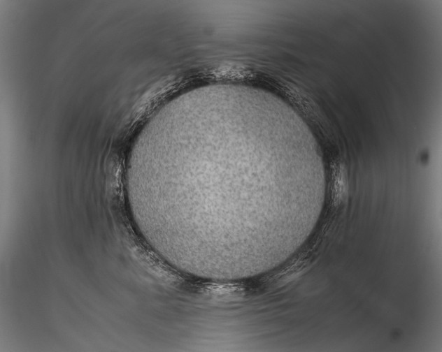 X0000116000619200912101319