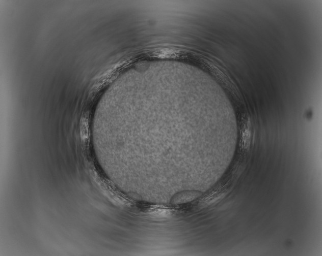 X0000116000620200912101319