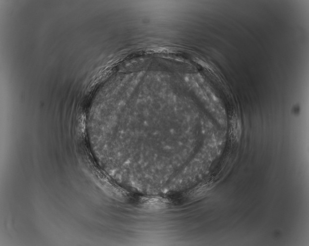 X0000116000621200912101318