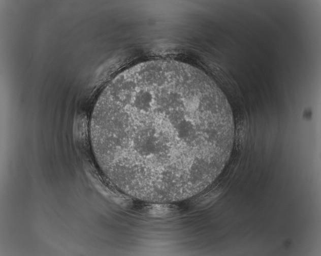 X0000116000623200912101318