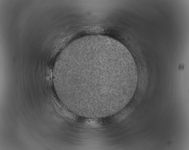 X0000116000624200912101318