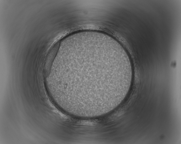 X0000116000625200912101318