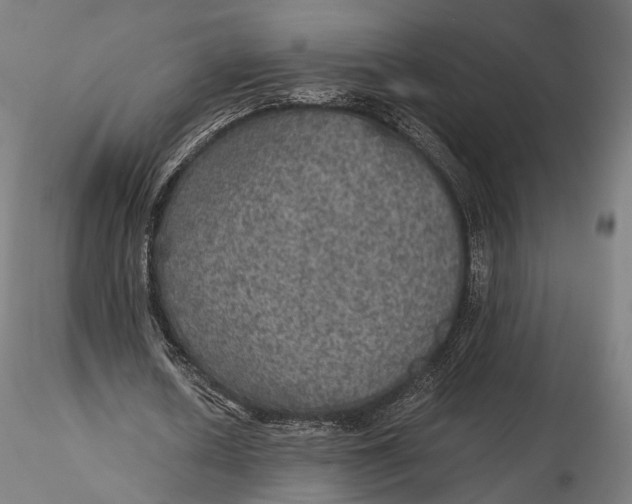 X0000116000626200912101318