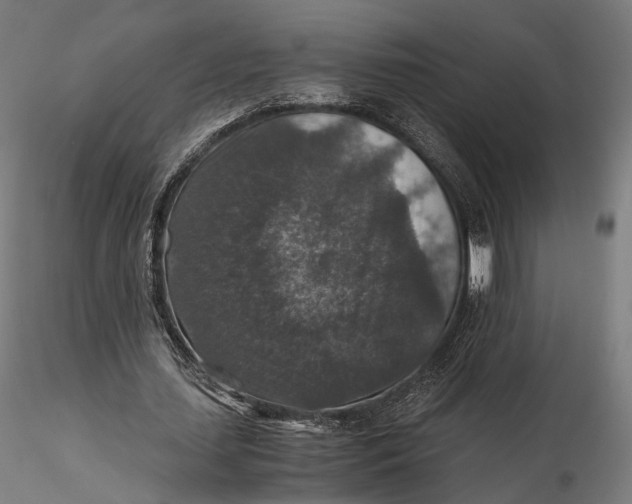 X0000116000627200912101318