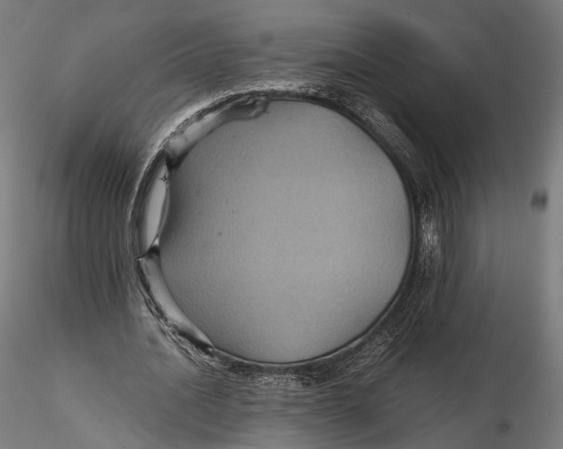 X0000116000628200912101318